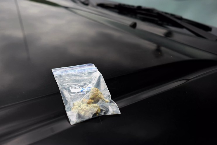 marijuana cannabis weed